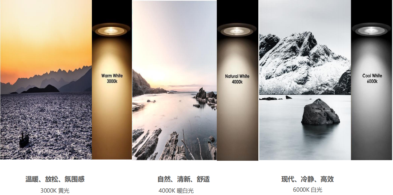 【設計案例】普照國康醫藥辦公室項目概念設計——以空間敘事，筑品牌基因(圖26)