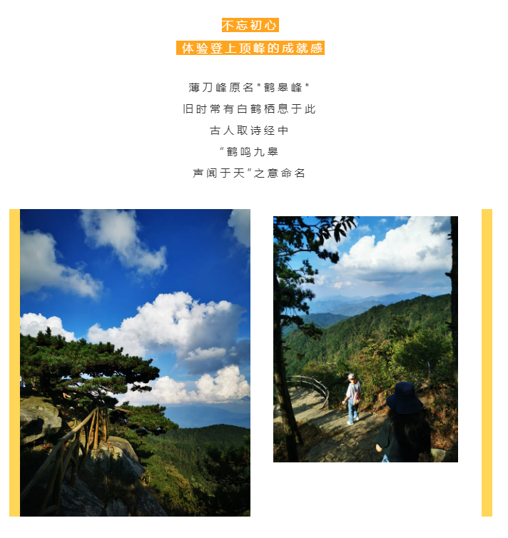 秋天了，來一場成年人的秋游吧(圖2)