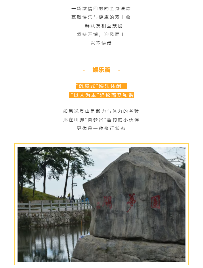 秋天了，來一場成年人的秋游吧(圖4)