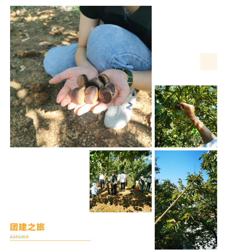 秋天了，來一場成年人的秋游吧(圖6)